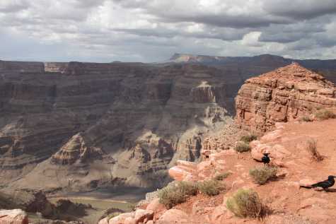 2013GrandCanyon_IMG_3358